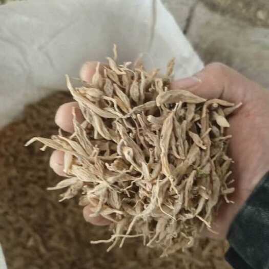 陇西县麦冬  优质货源，产地直发，大量供应