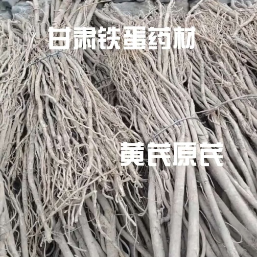 甘肃白皮黄芪、黄芪原芪、铁蛋农家药材、农户自家农产品！