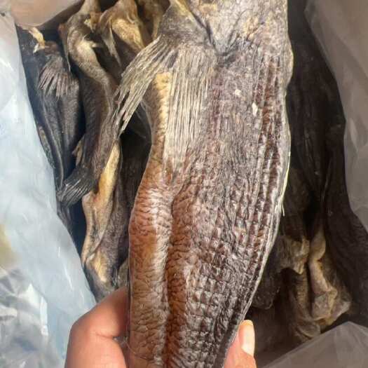 佛山笋壳鱼干 地摊批发电商笋壳鱼干干鱼