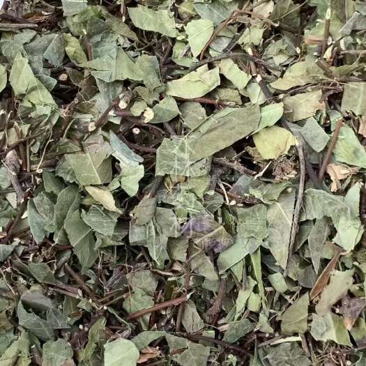 玉林长期供应｛络石藤｝可批量可零售量大从优【包邮】
