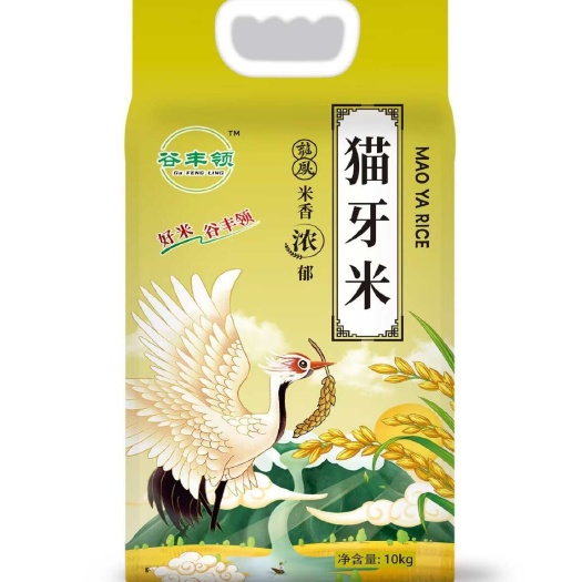 猫牙米晚稻新大米新鲜南方生态长款丝苗香米