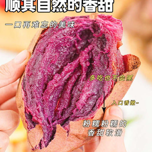 紫薯泰紫薯1号地瓜烤紫薯紫薯皇后一吃一个不吱声一件代发