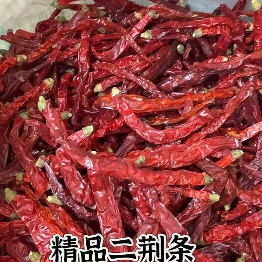 中牟县贵州二荆条