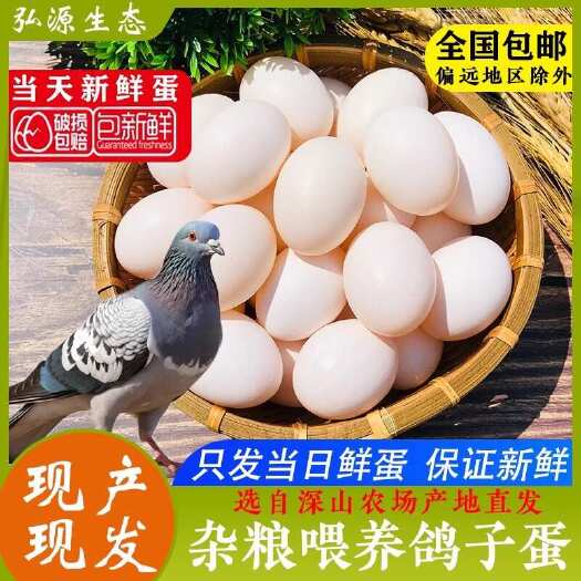 如皋市鸽子蛋。自家生产