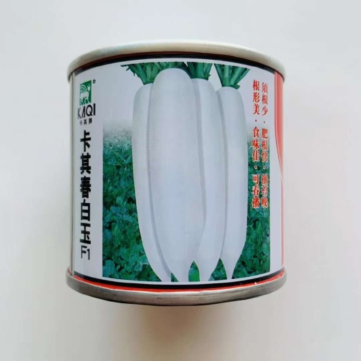 沭阳县精品天鸿春白萝卜种子白玉龙白萝卜种子
