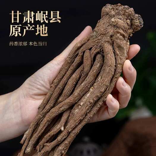 岷县大当归