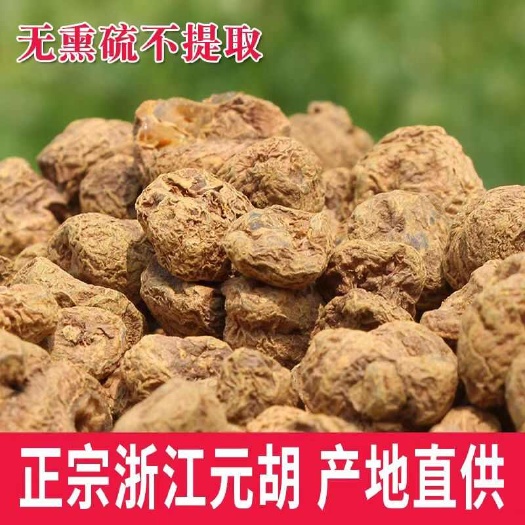 【浙江元胡】无硫元胡延胡索500克袋装多规格可选包邮
