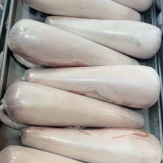 阳信县新鲜牛舌 产地直发 高品质禽畜肉蛋类产品 牛副产品 纯正美味