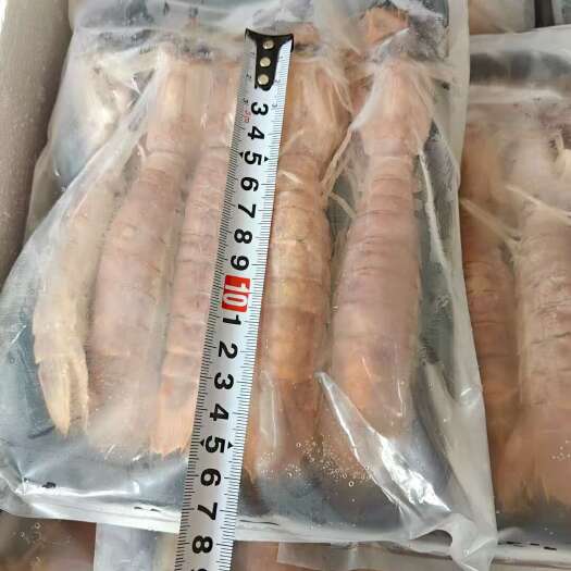 北海北海皮皮虾 熟冻濑尿虾全规格工厂批发