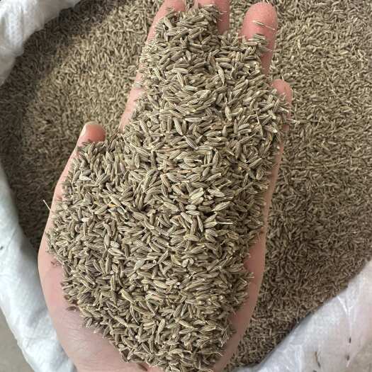 新沂市正宗新疆孜然非印度货纯原货整颗粒