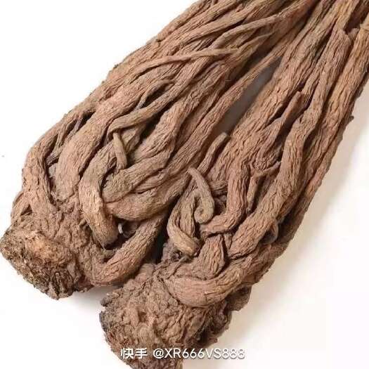 漳县当归。别名云归，西当归，金当归甘肃东南部主要生产，常用于跌打