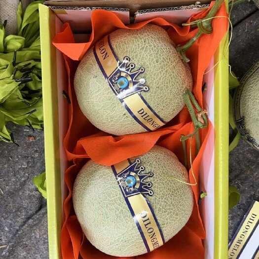 莘县莘县燕店网文蜜瓜一藤一瓜