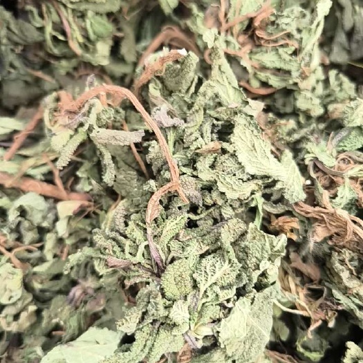 沂蒙山区的优质蛤蟆草