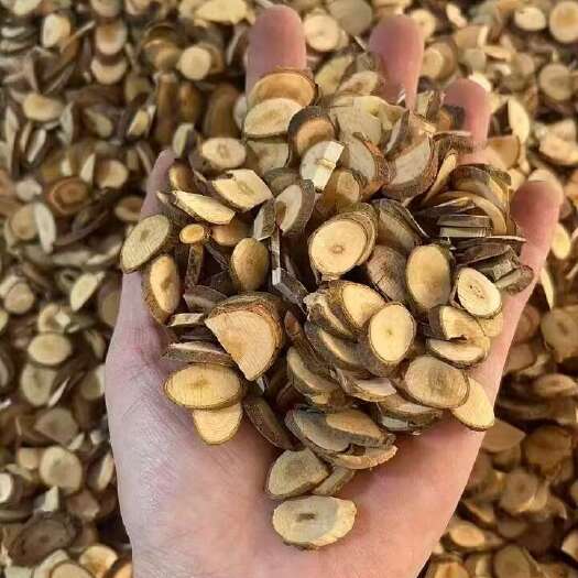 广州桂枝中药材货源稳定大量批发新鲜干货桂枝片色泽亮味道正