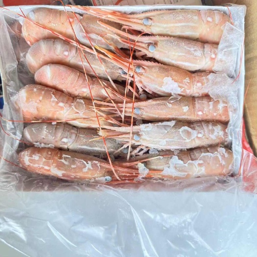 23年5月批次  冷冻牡丹虾  快销