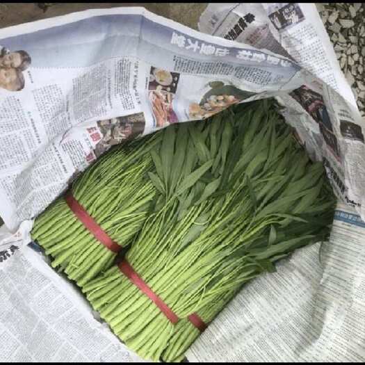 佛山广东空心菜大量上市价格￼优惠   ￼
