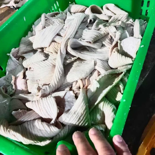 镇平县清真牛副牛杂产品，干净无油，品质上乘，一手货源，无中间商赚差