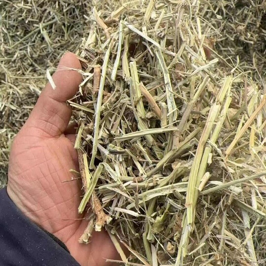 正阳县我家的花生秧今年质量是特别好本人常年加工销售一体保证质量
