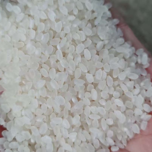 林甸县黑龙江珍珠米，34吨起批。1.88一斤，50斤装。