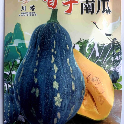 长沙川塔香芋南瓜种子早中熟新款趴地生长懒人专用种籽抗病真好吃