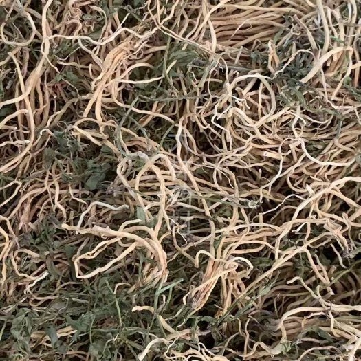 长期供应｛半边莲｝可批量可零售量大从优【包邮】
