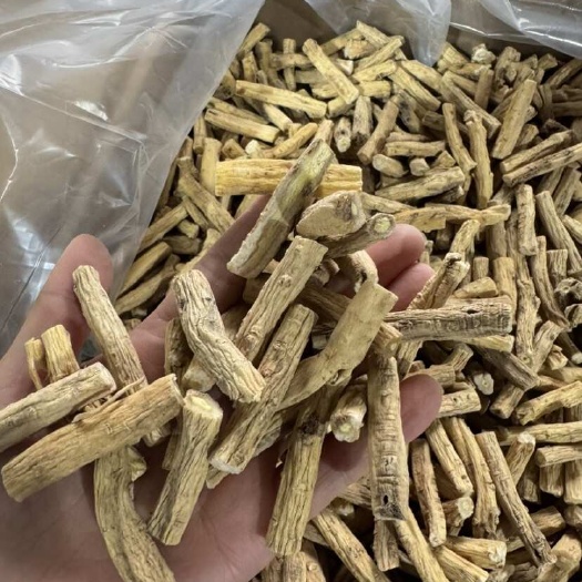 广州甘肃无硫白条党参节