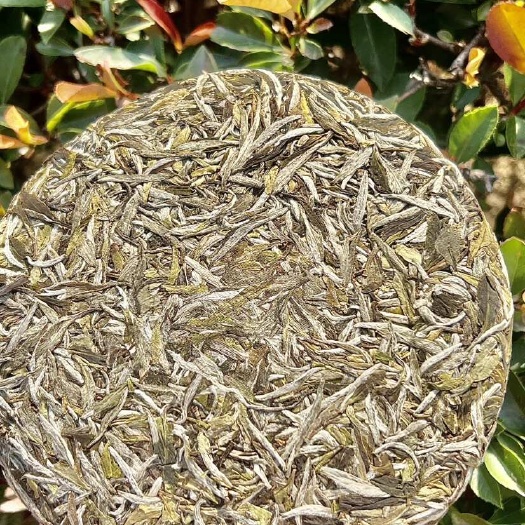 福鼎市- 白茶一叶一芽牡丹饼，极速发货，花香浓郁，水甜可口