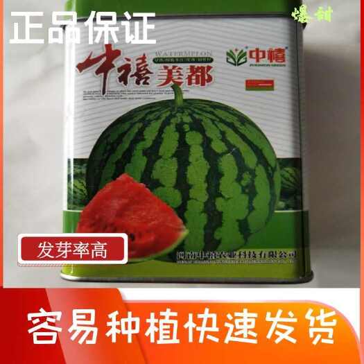 泌阳县中禧美都西瓜种子杂交中早熟西瓜种子皮薄瓤红肉质酥脆高甜多汁