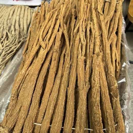 广州党参干货