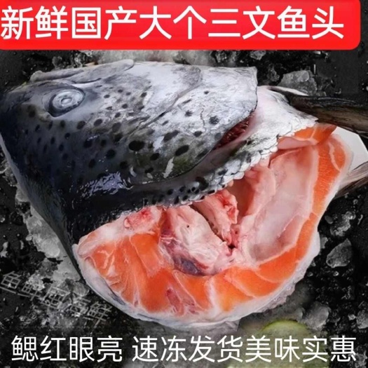 连云港正宗国产三文鱼头大个新鲜速冻发货红烧煲汤椒盐美味