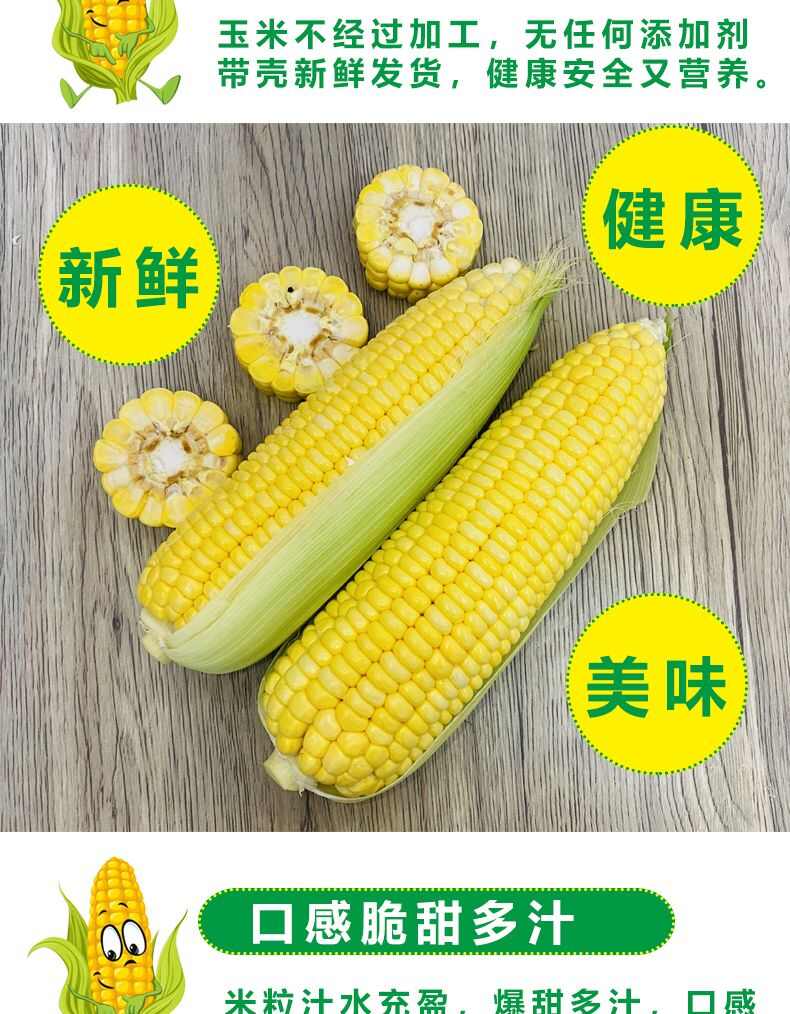 广西广东黄金水果玉米1/2/3/5/9斤一件代发整箱包邮批发