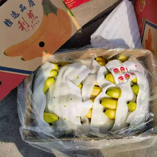 苏州香蕉