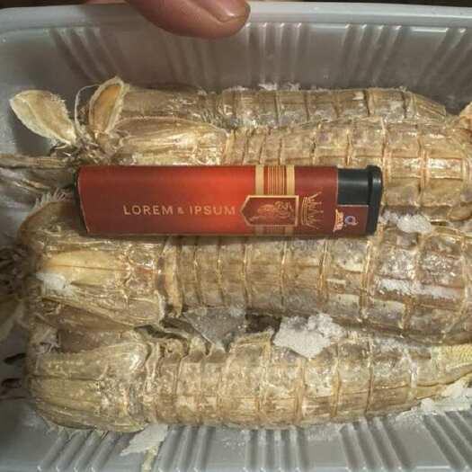 连云港大个大公皮皮虾
