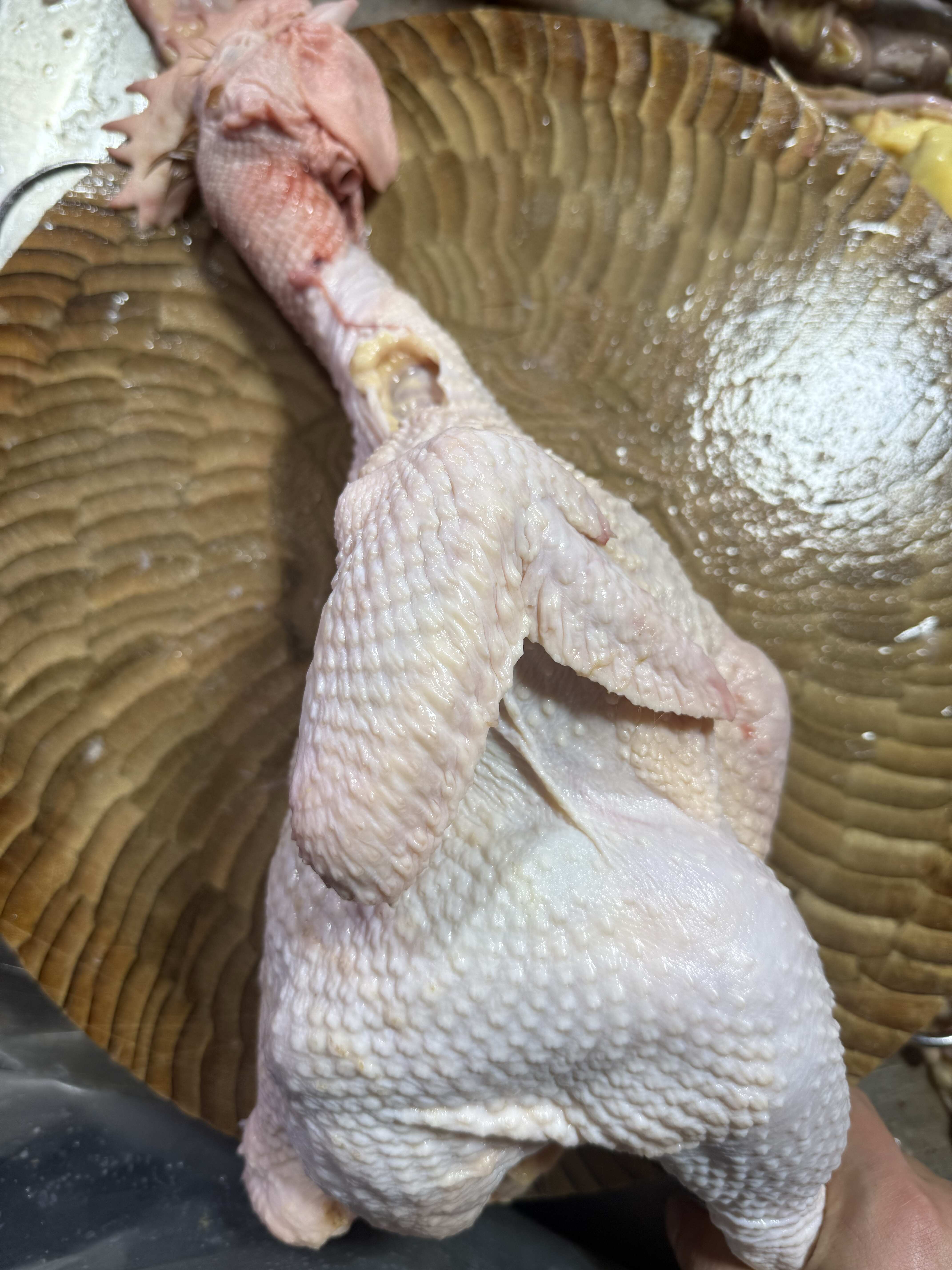 新鲜优品鸡肉#麻鸡 现杀现发，新鲜直达。