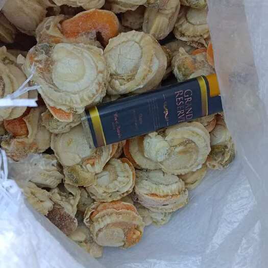 连云港扇贝肉