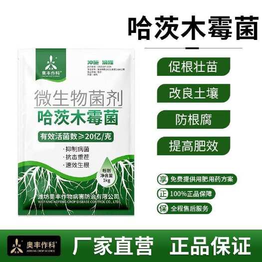 潍坊奥潍奥丰哈茨木霉菌改良土壤防根腐死棵有机菌肥农用微生物菌剂