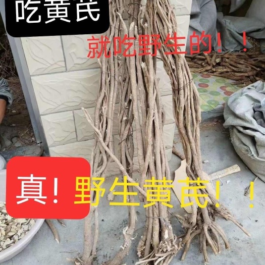 甘肃岷县黄芪包邮新货 整条无硫 产地直销
