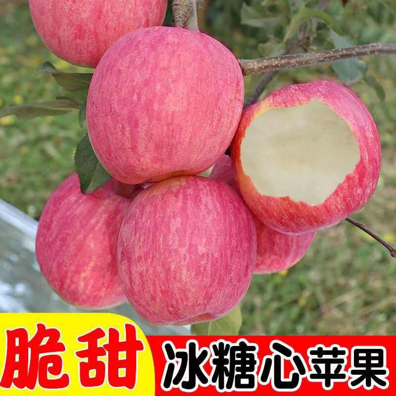 洛川县【洛川县果农直采】洛川红富士苹果拉丝冰糖脆甜