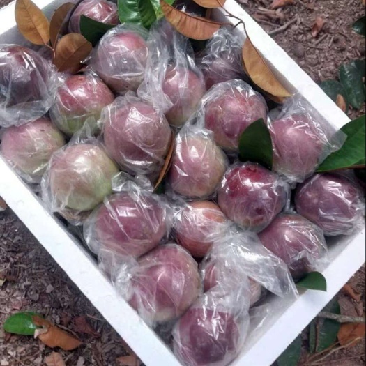 越南牛奶果，香甜可口