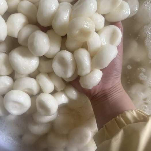 去皮荔浦马蹄 泡水发货