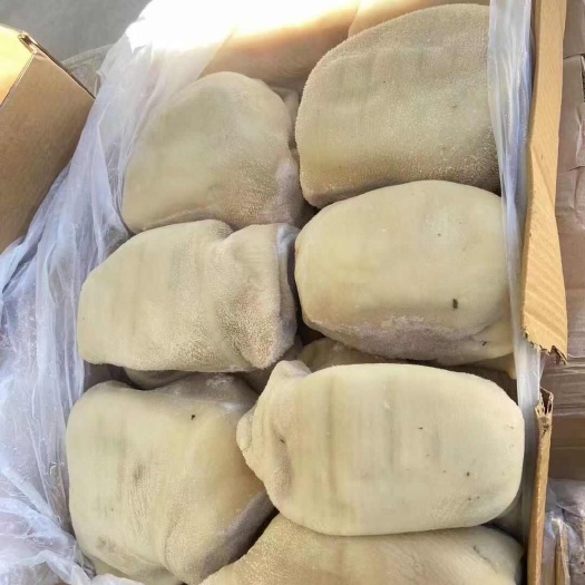 郑州精品小牛肚