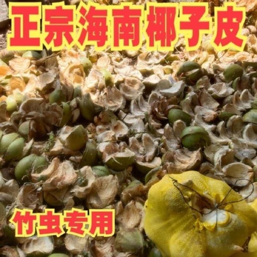 文昌市海南椰子皮老椰子皮青椰子皮棕皮青皮椰棕丝椰糠椰毛养竹椰青