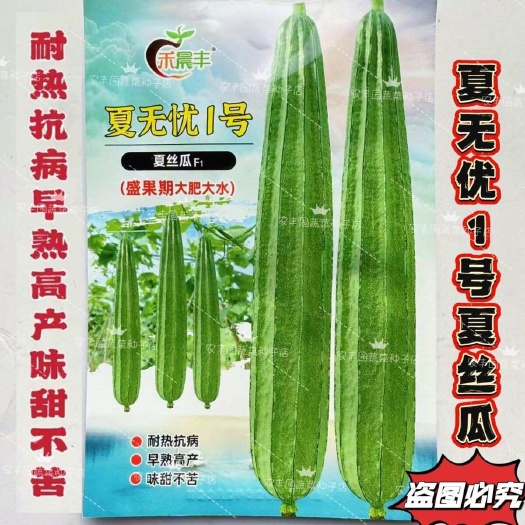 沭阳县夏无忧1号丝瓜种子夏播早熟大肉花点丝瓜种夏季南方种植耐热丰产
