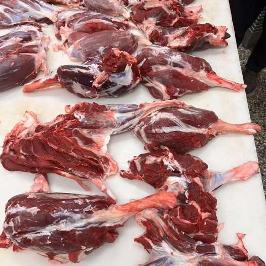 东营牛肉 牛腱子 精修去油纯干货 屠宰厂一手货源 全国可飞