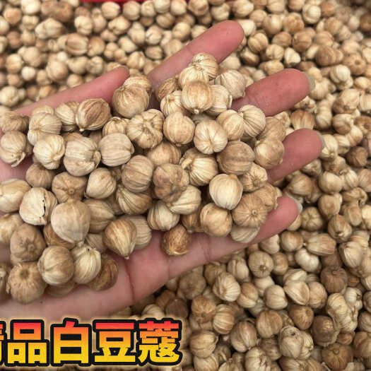 玉林精品手选白豆蔻颗粒均匀颜色好发霉率低个头饱满含量高