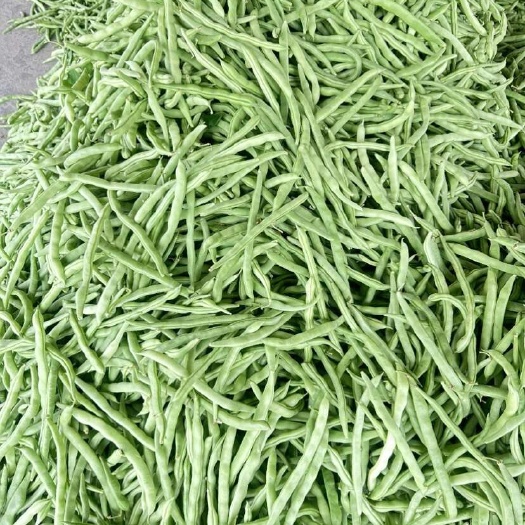 合浦县广西精品白花四季豆天天有货