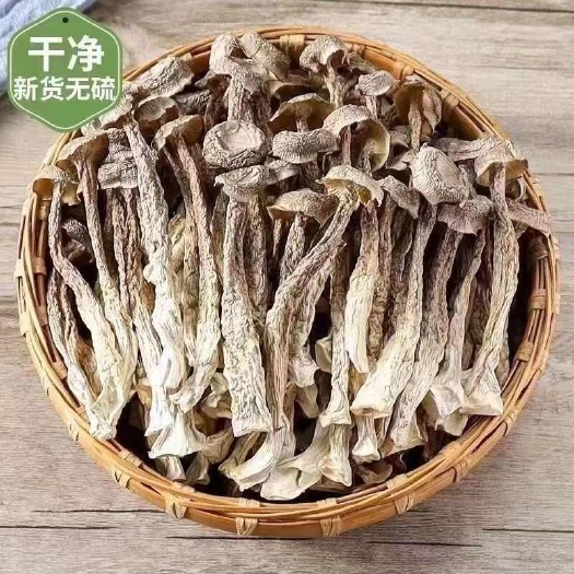 鹿茸菇