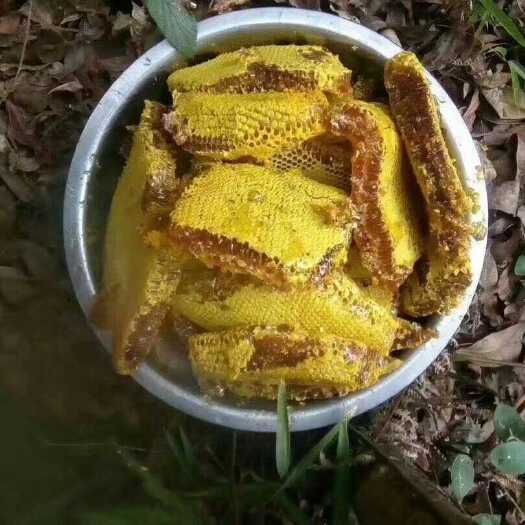 景东县哀牢山野生蜂蜜（货真价实）