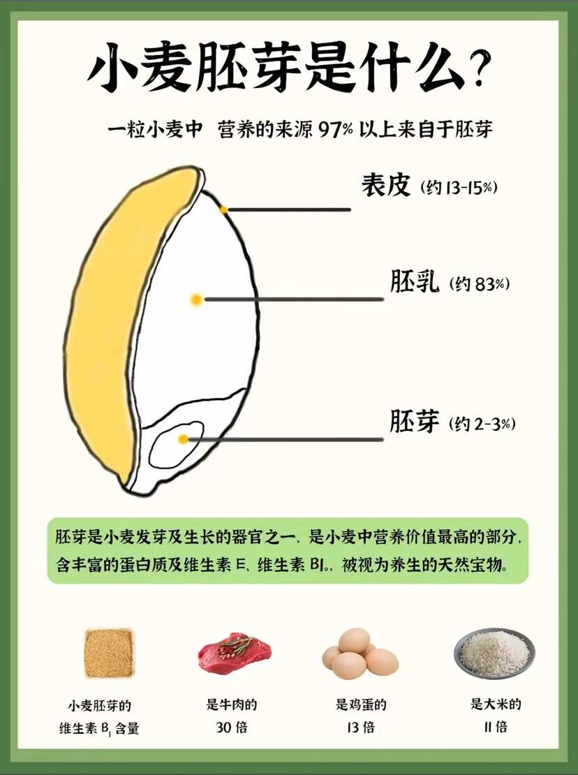 鲜活胚芽面粉一件代发，可供私域爆款，5装源头工厂，可批发