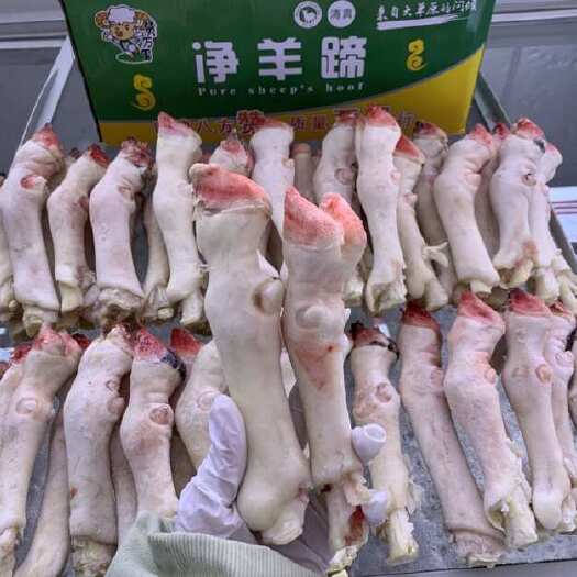 郑州纯干不抽筋育肥小号羊蹄，麻辣羊蹄原材料